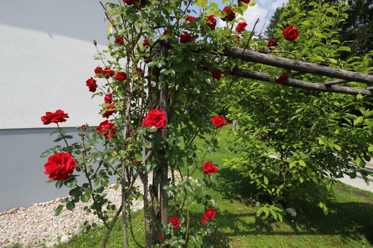 Adventure Cottage With Pool And Big Garden Bled Exterior foto